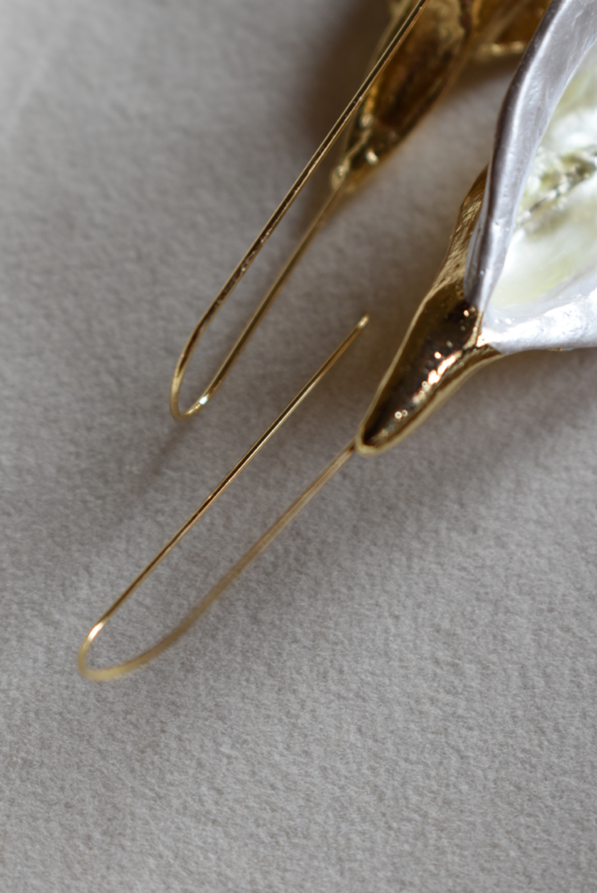 Gleams Gold Earrings