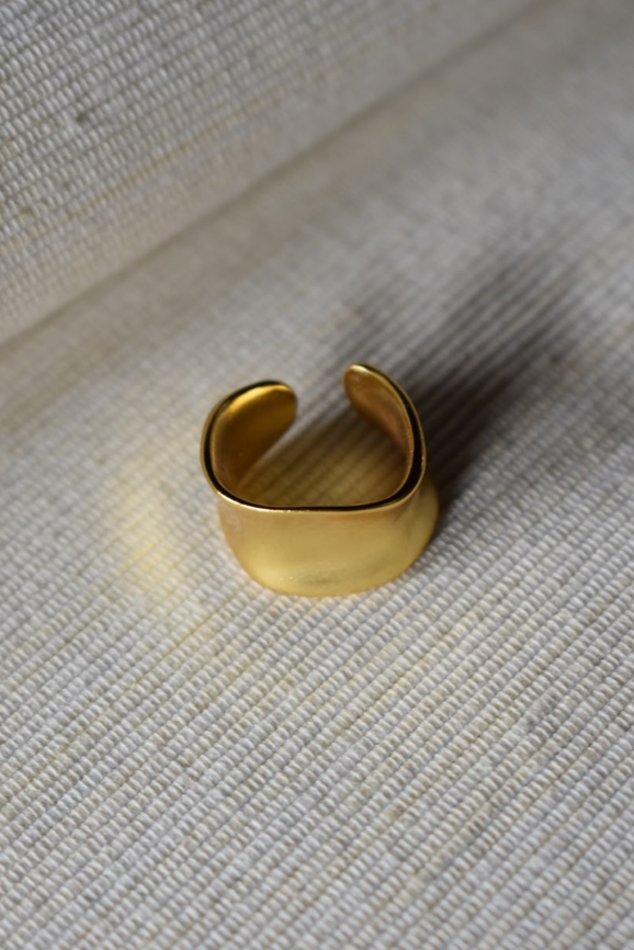 Gleams Metal Ring